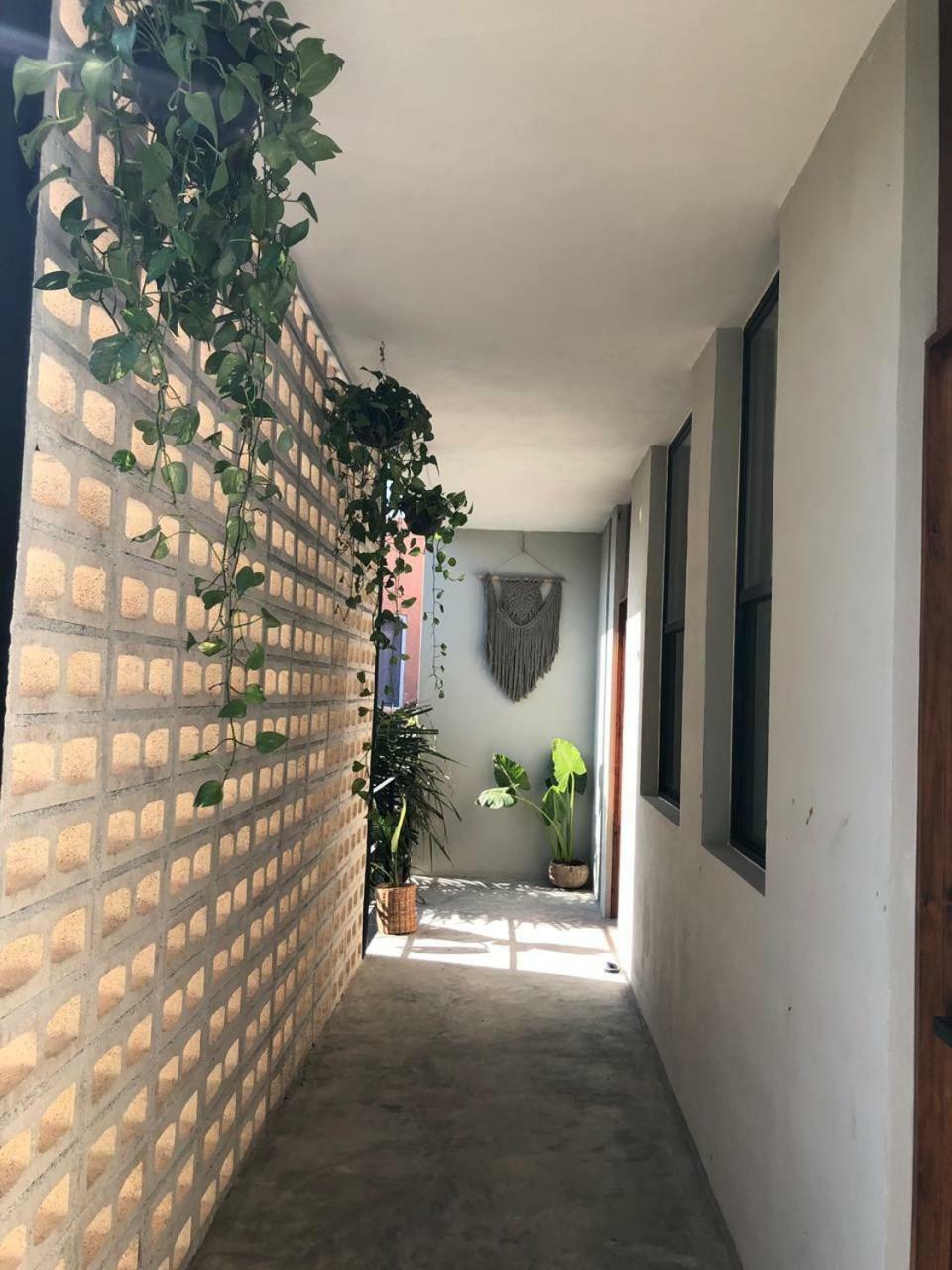 Mio Tulum Hotel Boutique Exteriör bild